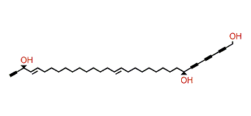 Triangulyne B